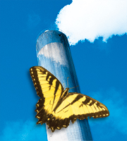 Miljøsertifisering ISO 14001 - illustrasjon